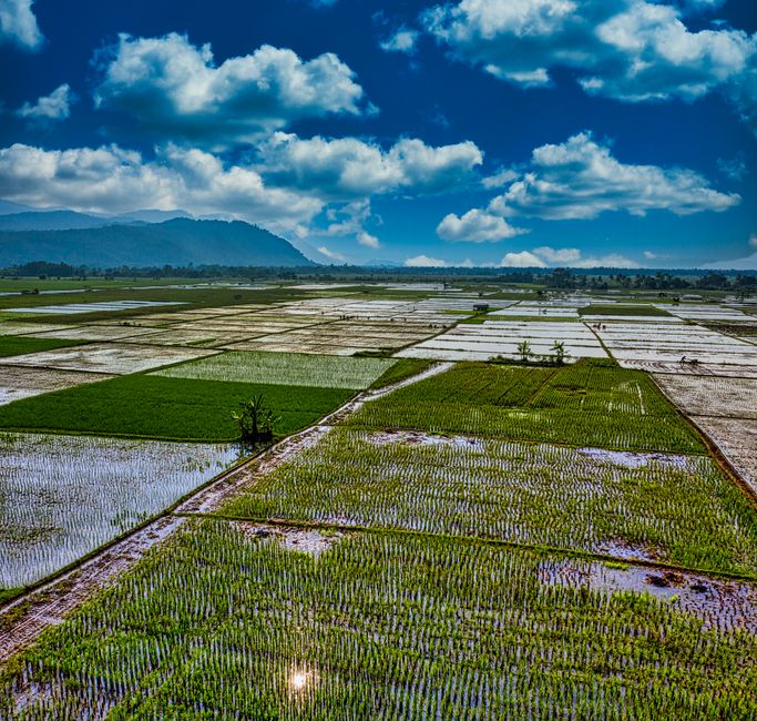 文章主题示意图